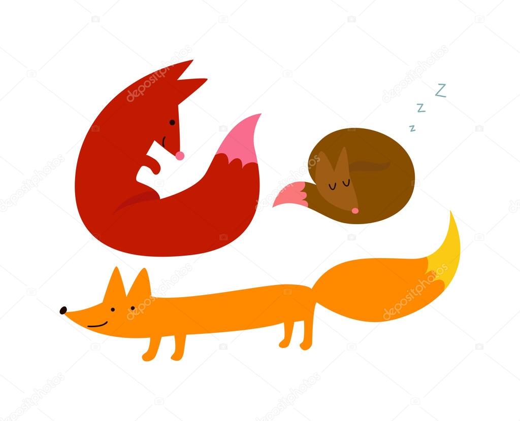 Three foxes