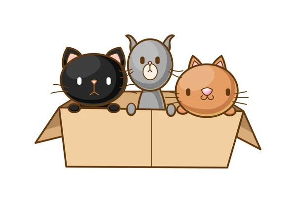 Katjes in een doos — Stockvector