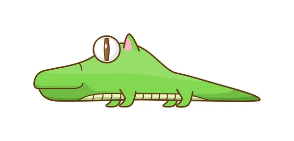 Alligator — Stock Vector