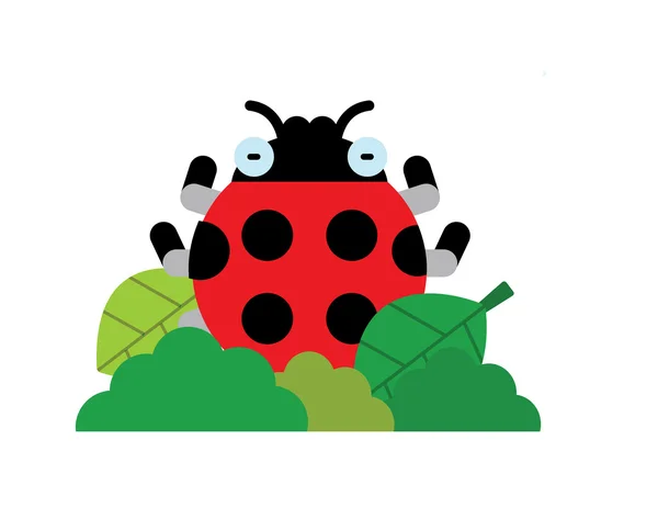 Coccinella — Vettoriale Stock