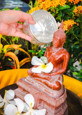 Human hand watering the Buddha statue clipart