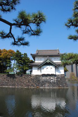 Tokyo İmparatorluk Sarayı
