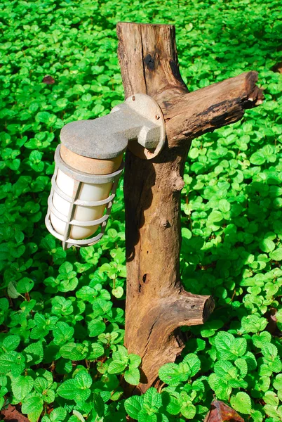 Лампа висит на деревянном столбе в саду с мятой — стоковое фото
