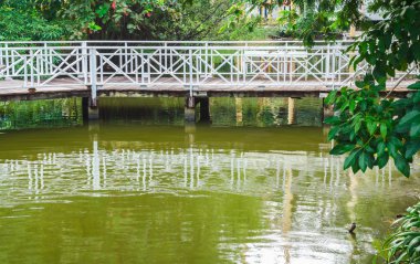 Beyaz ahşap köprü