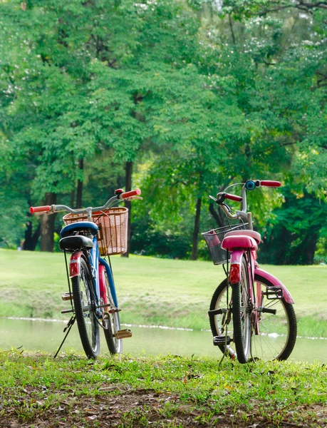 Deux vélos dans le parc — Photo