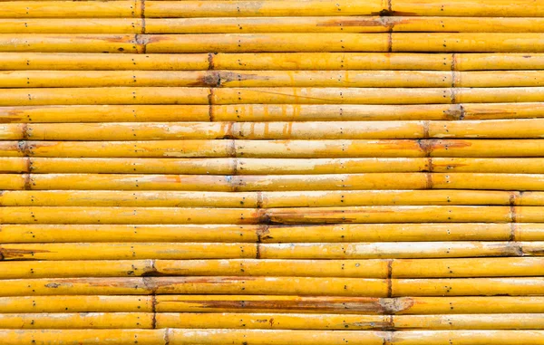 Gele bamboe muur textuur achtergrond — Stockfoto