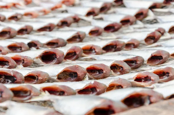 Сушеные рыбы на бамбуковой тарелке — стоковое фото