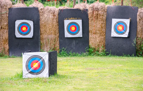 Hedef bir alanda çekim açık okçuluk