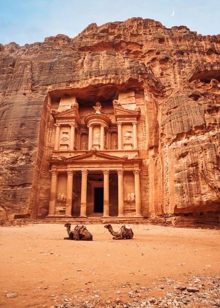 Dos camellos, sillines listos para los turistas, sentados frente al templo del Tesoro de Al-Jazneh - atracción principal en la ciudad perdida de Petra —  Fotos de Stock