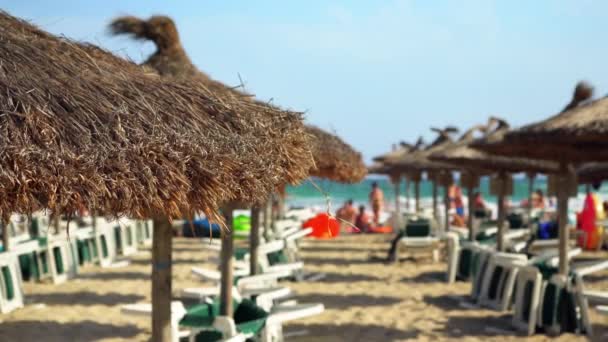 Sombrillas Sombrillas Hechas Paja Sobre Tumbonas Playa Personas Borrosas Caminando — Vídeo de stock