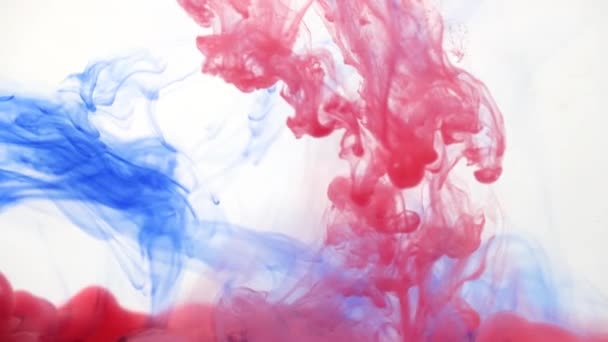红色或粉色墨水洒在水里 移动缓慢 背景抽象 — 图库视频影像
