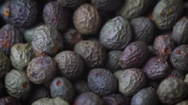 Yakın çekim makro detay - Türk yeşili, mavi ve siyah tellivişne biberi, kamera yavaş hareket ediyor