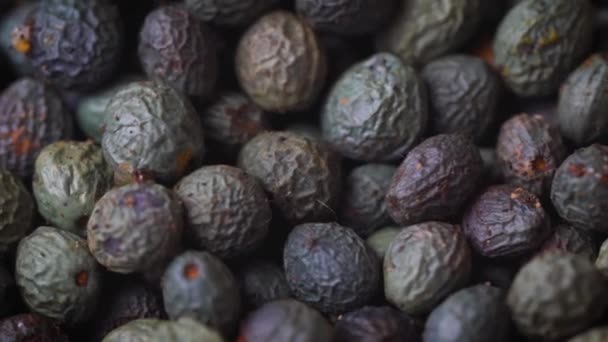 Närbild Makro Detalj Turkisk Grön Blå Och Svart Tellicherry Peppar — Stockvideo