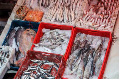 Marakeş Fas pazarında buzlu plastik kutularda çeşitli balık yığınları sergileniyor.