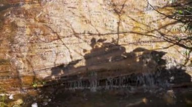 Kayaların üzerinden akan küçük şelale, yeşil çimenler küçük çalılıklar ve çalılıklar, kamera yükseliyor, Andrignitra Ulusal Parkı, Madagaskar 'daki tipik manzara
