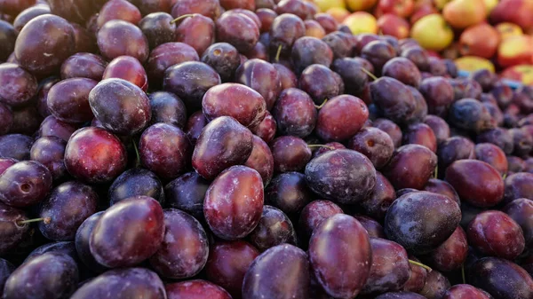 Montón de ciruelas de color púrpura oscuro en exhibición en el mercado de frutas de la calle — Foto de Stock