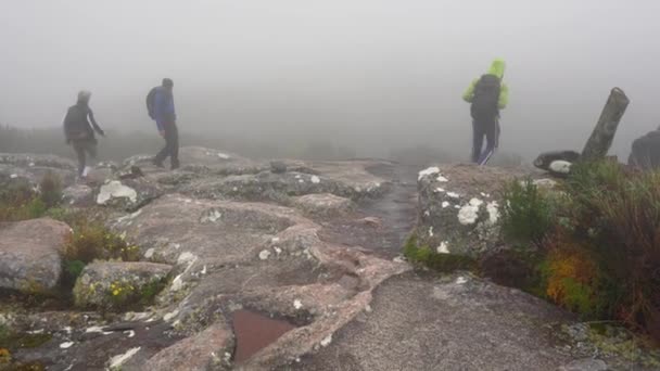 Andringitra National Park Μαδαγασκάρη Απριλίου 2019 Ομάδα Πεζοπόρων Τοπικό Ξεναγό — Αρχείο Βίντεο