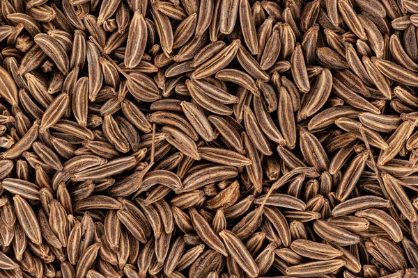 Деталі крупним планом насіння карабінів - меридіанний фенхель - караві знімок зверху, ширина зображення 23 мм — стокове фото