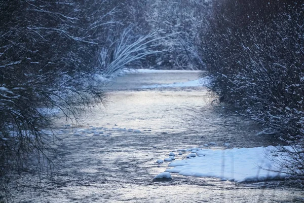 Kalter Winterfluss, dunkle Bäume auf beiden Seiten — Stockfoto