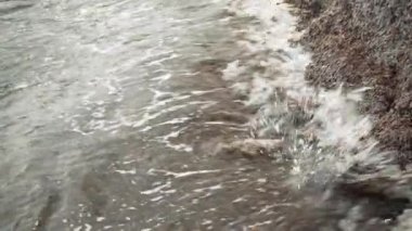 Kumsalda kumla yıkanmış bir sürü kuru kahverengi deniz yosunu var.