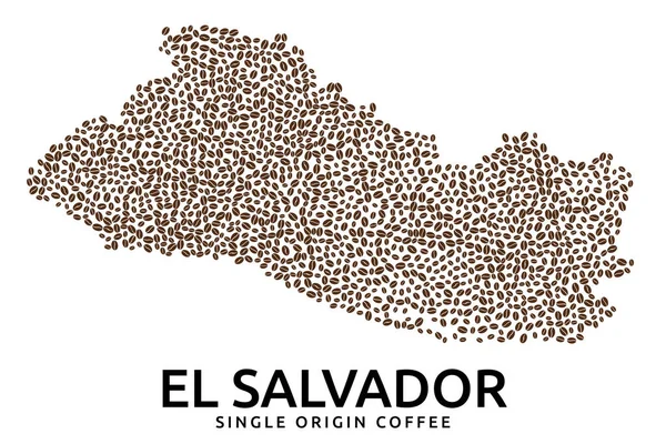 Shape Salvador Map Made Scattered Coffee Beans Country Name —  Vetores de Stock