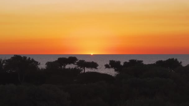 太阳落山后的最后几秒钟 平静的大海 热带树木的轮廓呈现在眼前 — 图库视频影像