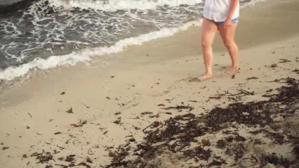 年轻女子走在肮脏的海滩上 沙滩上覆盖着褐色的洗过的海藻 腿上只有特写 — 图库视频影像