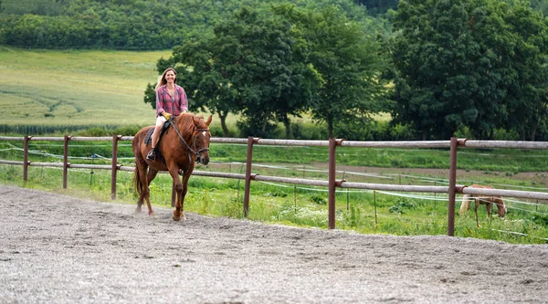 Young Woman Wearing Shirt Riding Brown Horse Sand Paddock Wooden — Stock fotografie