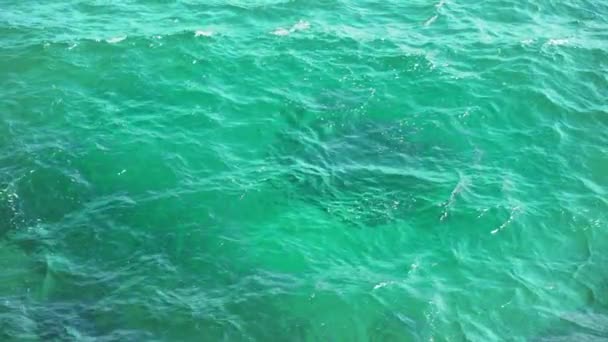 Clear Green Sea Water Surface Lit Sun Slow Motion Video — Wideo stockowe