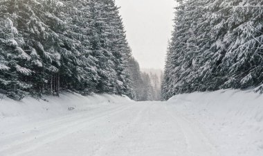 Kış ormanı yolu buz ve karla kaplı. Tehlikeli sürüş koşulları