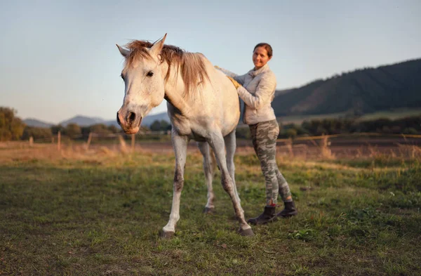 White Arabian Horse Autumn Afternoon Detail Head Blurred Smiling Young — Stock fotografie