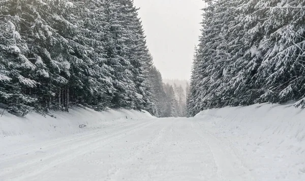 Kış ormanı yolu buz ve karla kaplı. Tehlikeli sürüş koşulları