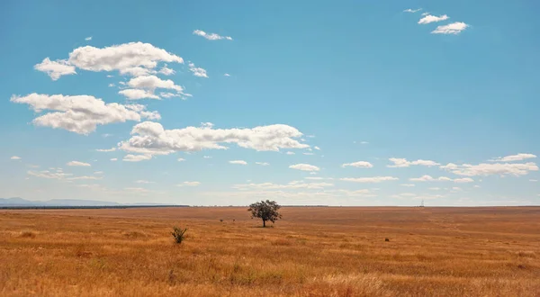 Африканська Савана Кількома Маленькими Кущами Горами Відстані Типовим Ландшафтом Поблизу — стокове фото