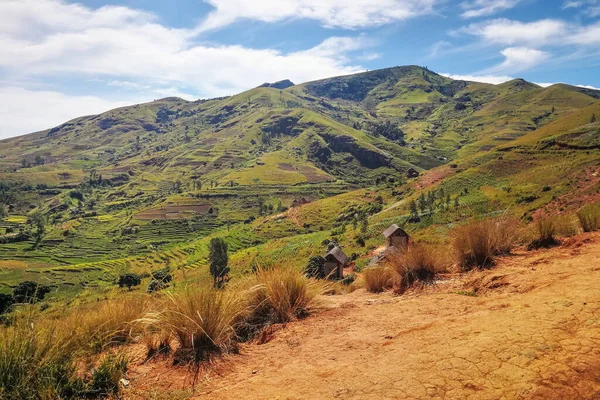 Typisk Madagaskar Landskap Grönt Och Gult Ris Terrassfält Små Kullar — Stockfoto