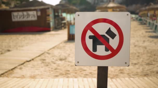 Red Black Dogs Allowed Sign Wooden Path Leading Beach Blurred — Vídeo de stock