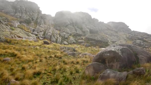 Mist Rolling Brown Green Grass Growing Lichen Covered Rocks Typical — Stock Video