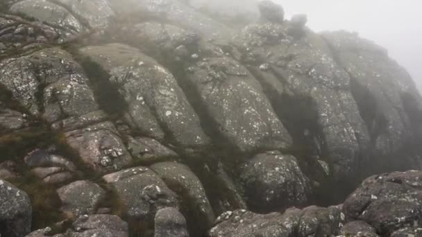 Grandes Piedras Cubiertas Musgo Niebla Rodando Fondo Paisajes Típicos Vistos — Vídeo de stock