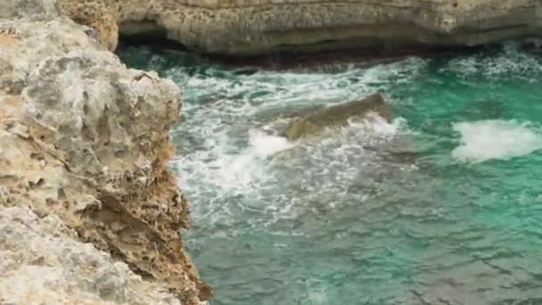 Rocky Bay Clear Green Water Seen Cliff Focus Move Foreground — Stock Video