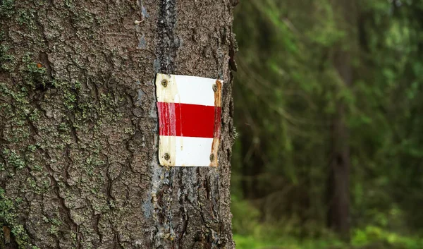 Señal Sendero Rojo Blanco Corteza Del Árbol Bosque Detalle Primer — Foto de Stock