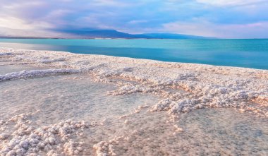 Morning sun shines on salt crystals formations, clear cyan green calm water near, typical landscape at Ein Bokek beach, Israel clipart