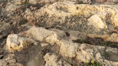 Kayalık uçurumun sonuna doğru yürürken, sonunda kayalara çarpan deniz dalgalarına bakın.