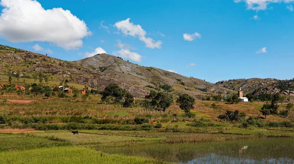 Typisk Madagaskar Landskap Grönt Och Gult Ris Terrassfält Små Kullar — Stockfoto