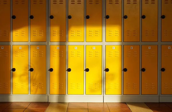 Sun Shines Empty Elementary School Hall Numbered Lockers Wall — Stock Photo, Image