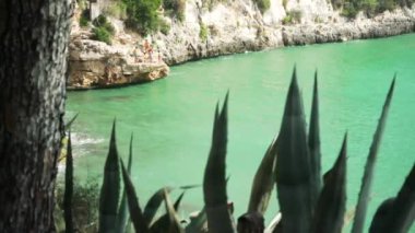 Porto Cristo, İspanya - 22 Eylül 2019: Deniz kıyısında oynayan, küçük kayalık kayalıklardan yeşil suya atlayan, bulanık çalıların ve ağaçların arasından bakan bir grup çocuk
