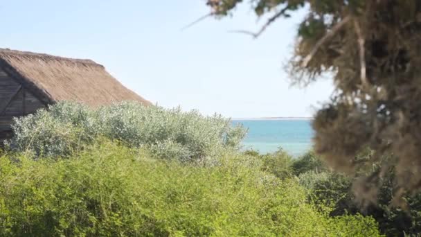 Tahta Plaj Evi Saman Çatı Yakınlarda Sık Yeşil Ağaçlar Arka — Stok video