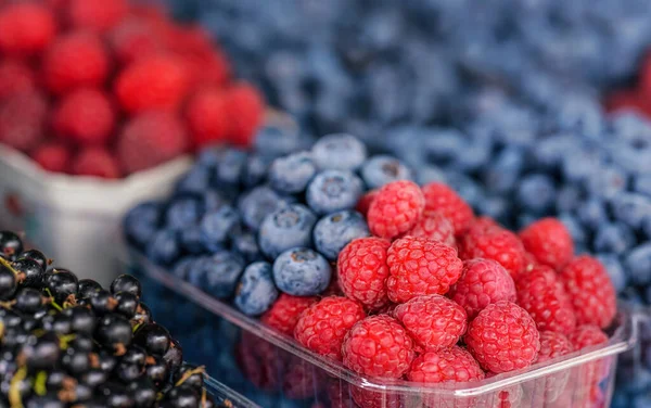 Small Plastic Boxes Blueberries Raspberries Displayed Food Market Closeup Detail — Foto Stock
