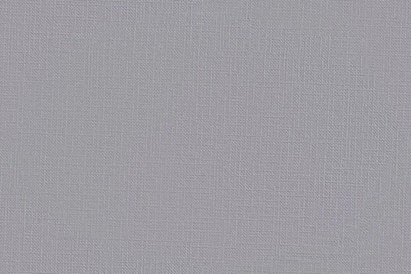 White Canvas Structure Regular Linear Threads Pattern Seamless Tileable Texture — Stock Photo, Image