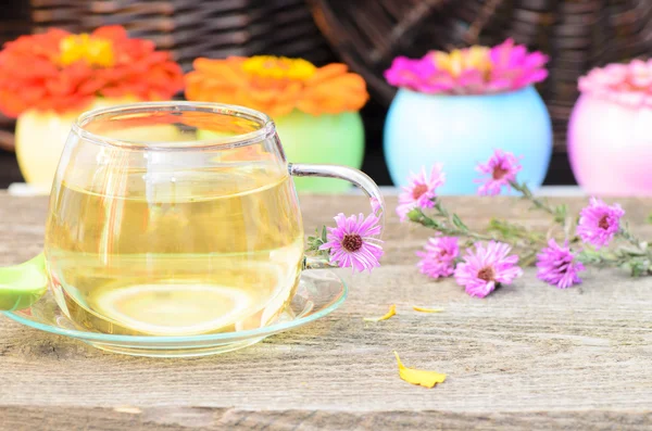 Tea cup with different flowers on wood — Stock Photo, Image