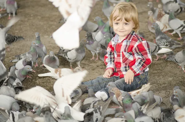 Bebek güvercinler tarafından çevrili — Stok fotoğraf