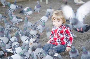 bebek güvercinler tarafından çevrili